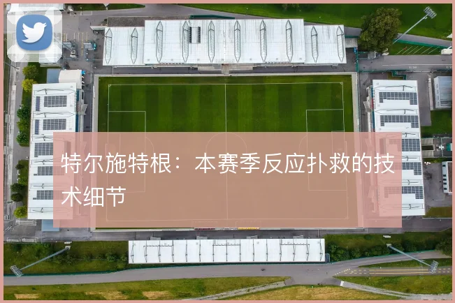 特尔施特根:本赛季反应扑救的技术细节
