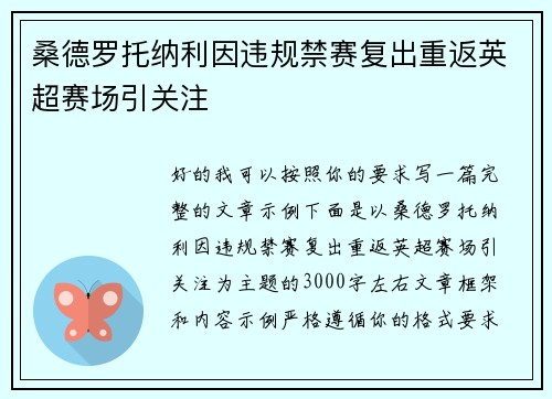 桑德罗托纳利因违规禁赛复出重返英超赛场引关注